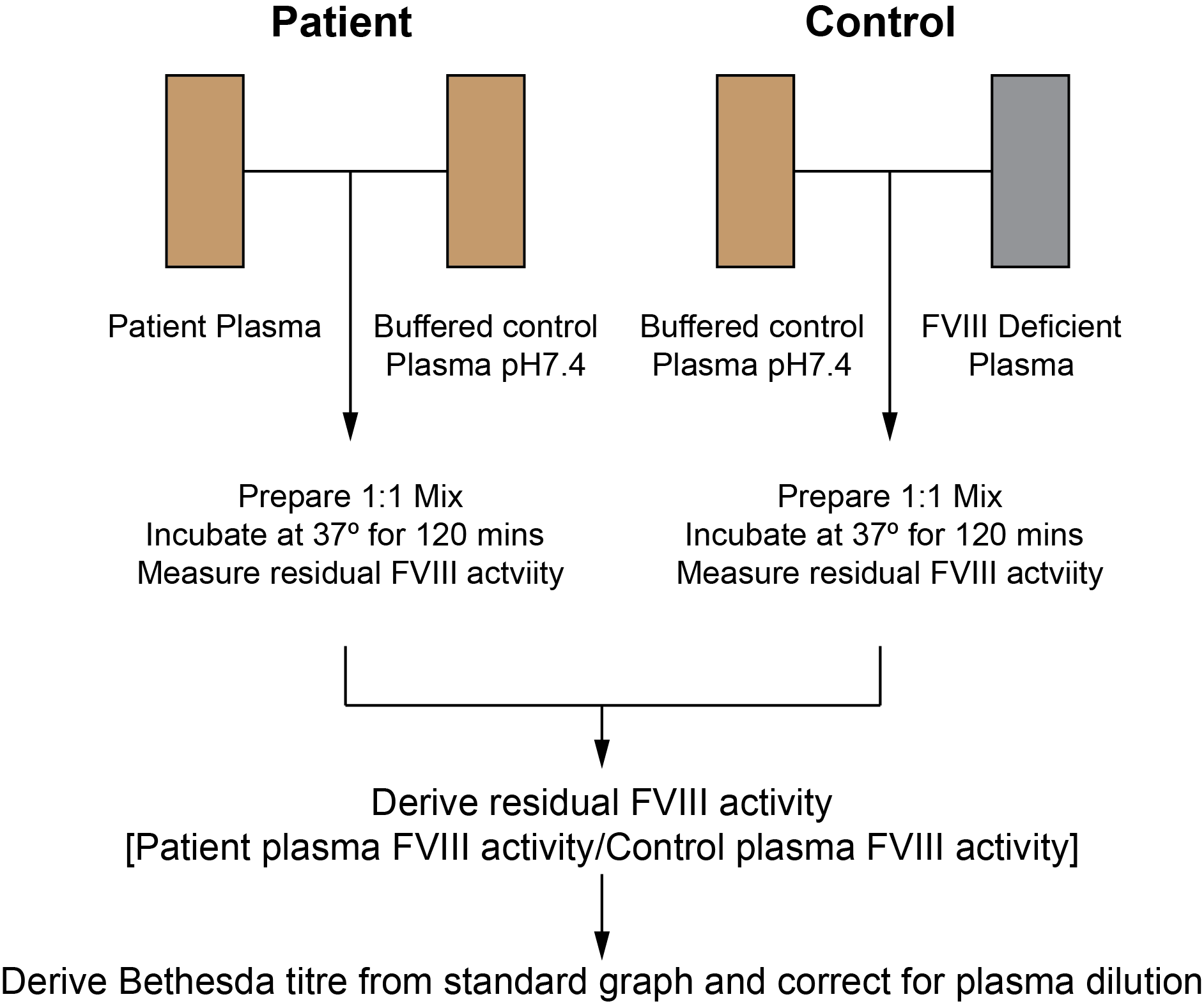 Schematic of the Nijmegen modification of the Bethesda Assay